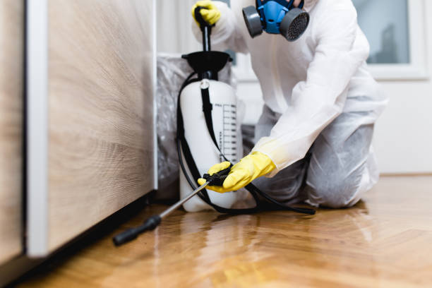 Best Rat Extermination Near Me  in Fulton, MS