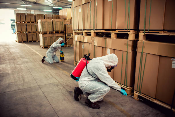 Best Pest Inspection Near Me  in Fulton, MS