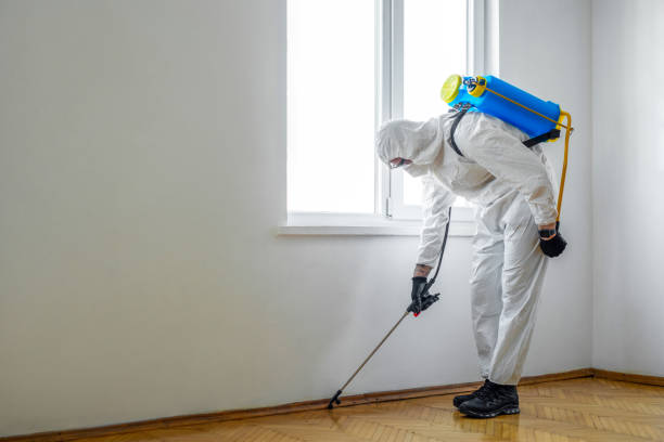 Best Cockroach Control Services  in Fulton, MS