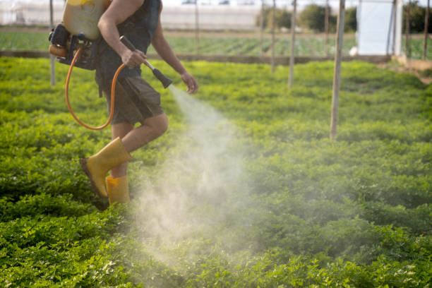 Best Best Pest Control Companies  in Fulton, MS