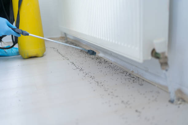 Best Pest Control Cost  in Fulton, MS
