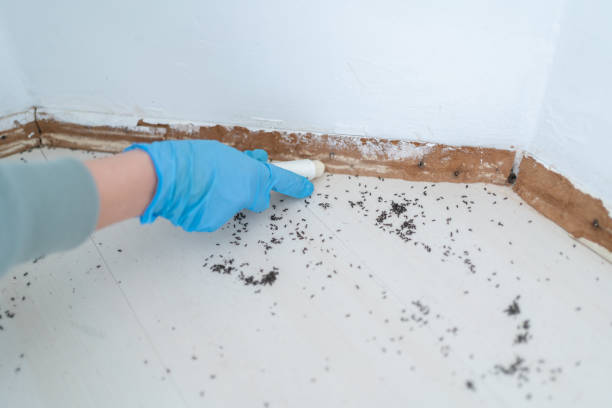 Best Mosquito Control Services  in Fulton, MS